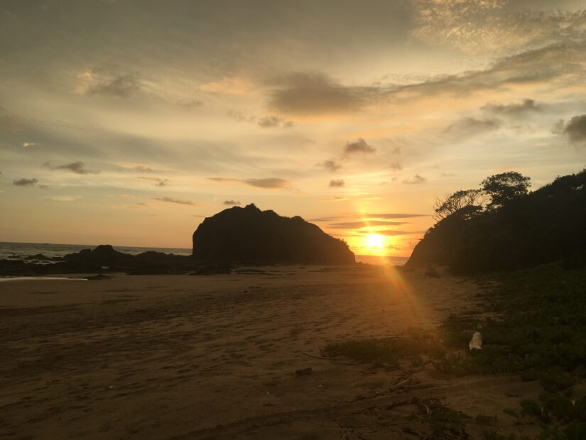 The Pristine Paradise of Las Baulas National Park